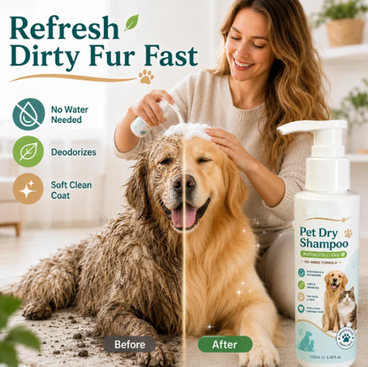 🫧 Freshen Up Your Furry Friend — No Water Needed! 🐾