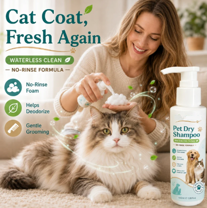 🫧 Freshen Up Your Furry Friend — No Water Needed! 🐾