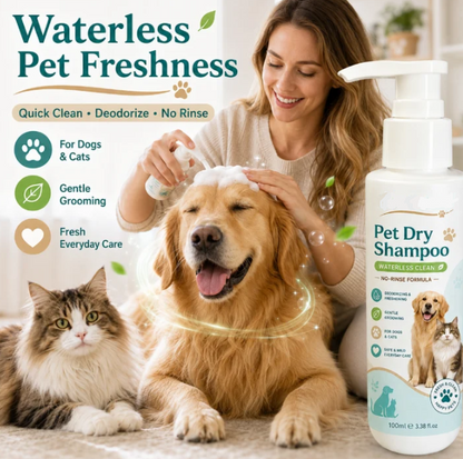 🫧 Freshen Up Your Furry Friend — No Water Needed! 🐾
